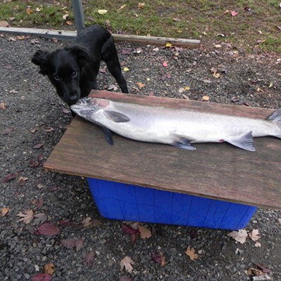 Denice Gale took this picture of Isabella checking out the fish dad (Ron Gale) caught on Nov. 14.