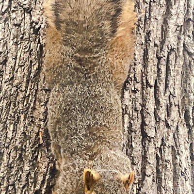 Just hanging out near Lower granite trail