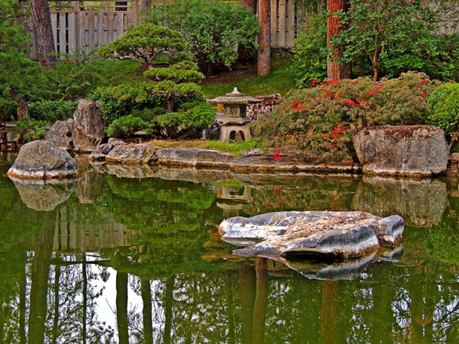 Koi pond in the Nishinomiya Tsutakawa Japanese Garden