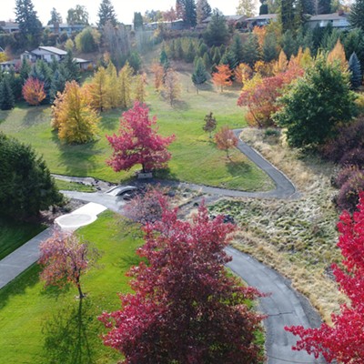 A birdseye view of Lawson Gardens in Pullman, Washington on a sun-washed fall day. Photo taken by Keith Collins on Oct. 23, 2018.