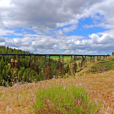 This photo of the Lawyers Canyon Railroad Trestle Bridge was taken in the earlier afternoon of May 8, 2021 by Leif Hoffmann (Clarkston, WA) while briefly stopping on a drive to Cottonwood.