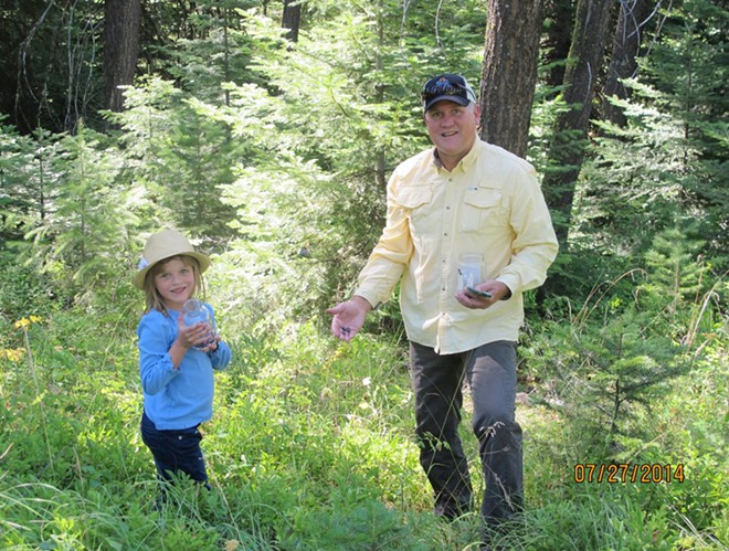Maya and her father David Pankey of Lewiston, picking huckleberries on Craig Mountain