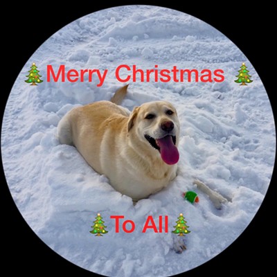 Lola wants to wish all her LMT friends a very Merry Christmas! Photo taken by Sue Young , in Lewiston, on 12/18/16.