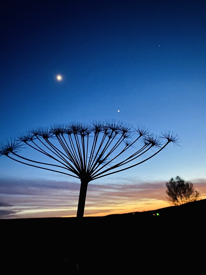 Moon, Venus and Sunset over the Palouse