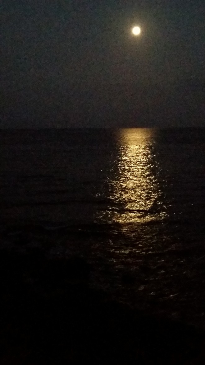Moonlight on the Pacific Ocean