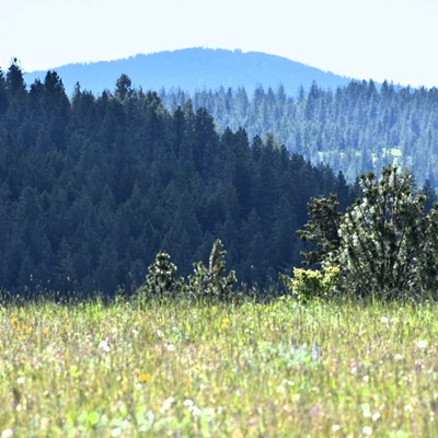 A glimpse of Cottonwood Peak is seen during a camping trip near Winchester. Photo by Kathy Witt.