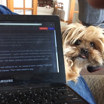 Jim Allen of Moscow snapped this photo on Sept. 13 of Liddy, a munchkin lapdog, competitng with his laptop.