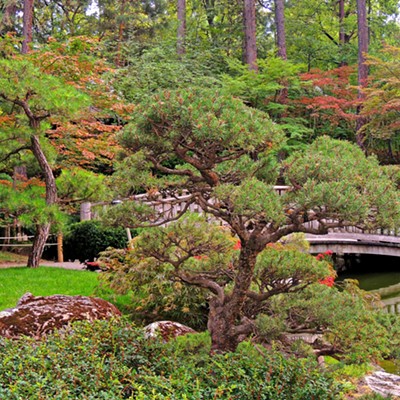 This photo of the Nishinomiya Tsutakawa Japanese Garden in Spokane was taken by Leif Hoffmann (Clarkston, WA) during an afternoon walk with family on September 4,2021.