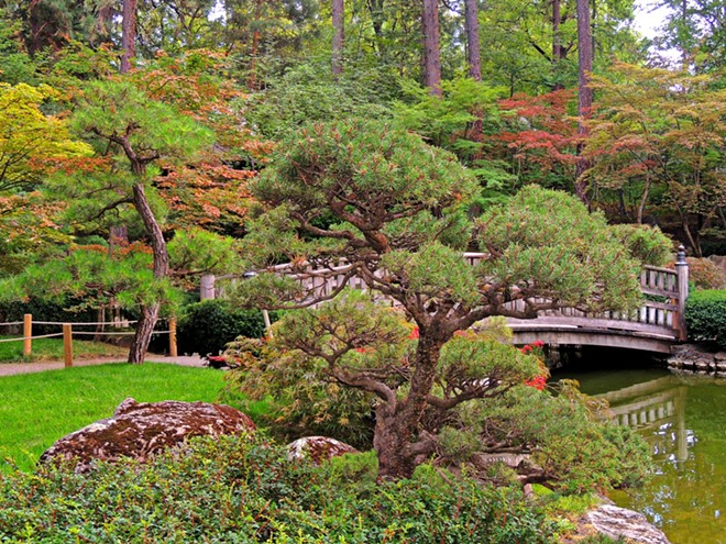 Nishinomiya Tsutakawa Japanese Garden