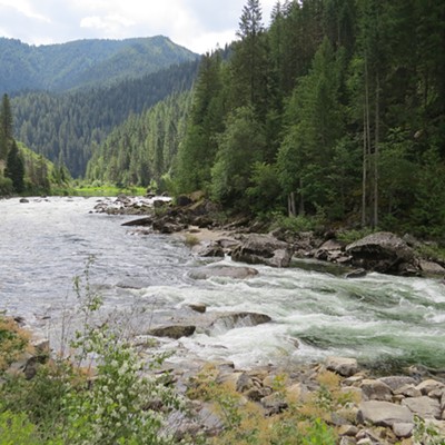 The North Fork Clearwater River. Photo by Le Ann Wilson of Orofino, taken July 2 from Pierce-Superior Road #250.