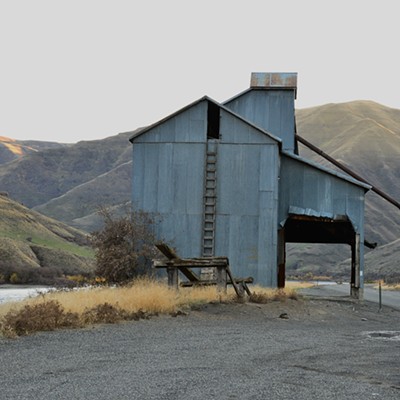 South of Asotin sits this no longer used grain elevator from the past. I have seen this many times and I believe that it hasn't been used in 50 or more years .
11/24/2021    By Jerry Cunnington