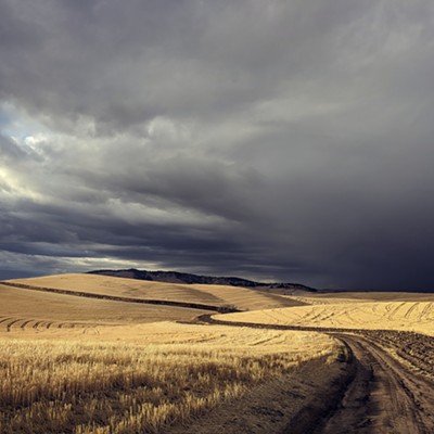 McGreevy Road sunlit fields vs. ominous sky. Bonus: U Idaho colors. Oct 13, 2020, Madson, WA. Mary McInnis of Moscow submitted this photo.