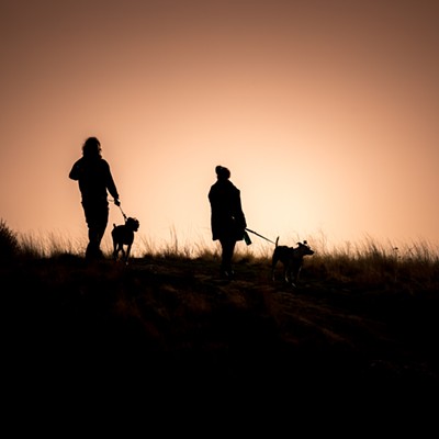 A young couple walking their dogs at Palouse Falls State Park on Wednesday, Nov. 10th.