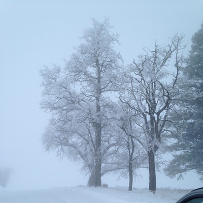 Palouse winter driving: white-out