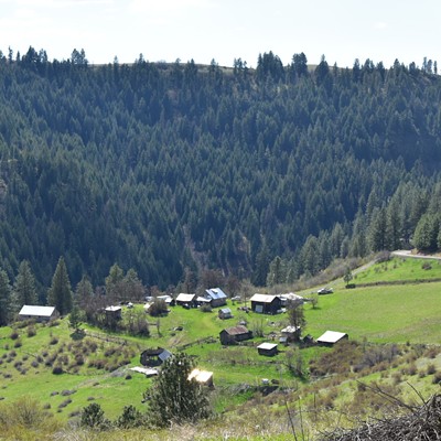 Everything seemed peaceful in this photo taken on Easter outside of Kendrick. Kathy Witt photographer.