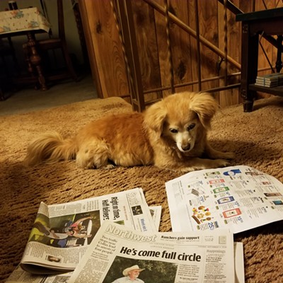Pet reading the Lewiston Tribune