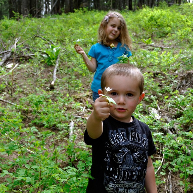 Picking morel mushrooms or flowers