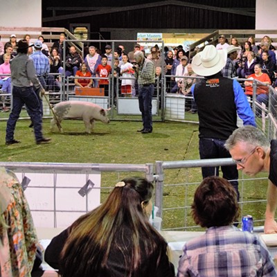 The pig auction at the Nez Perce County Fair was a hoot to watch. What a great crowd. Photo taken by Mary Hayward of Clarkston.