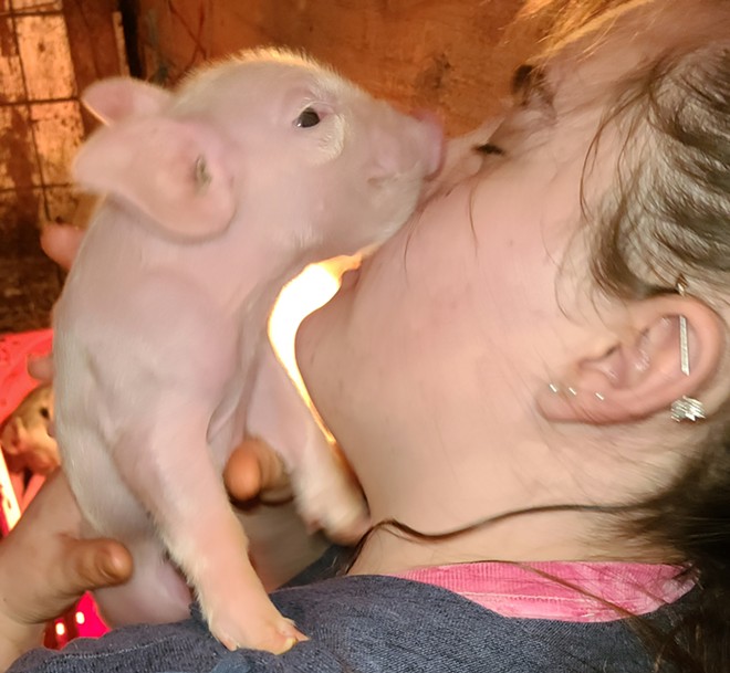 Piggie love