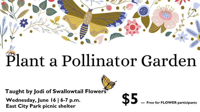Plant a Pollinator Garden