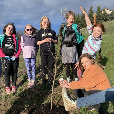 Planting a Tree for Future Harvest