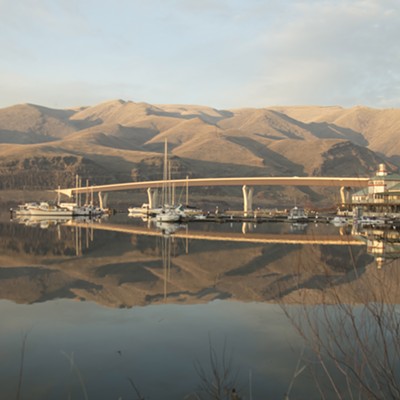 Port of Wilma Reflection