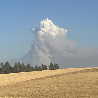 Pyrocumulus cloud (white at top above smoke) from wildfire east of Moscow, Wednesday, August 11.  Cloud formed from intense heat generated by wildfire.