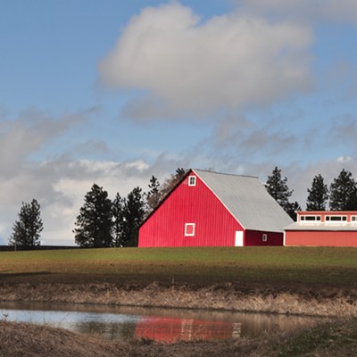 I like brightly painted barns no mater how new or how or how old they may be. Found this one North of Kendrick March 23rd. 2021.  Photographed by Jerry Cunnington.