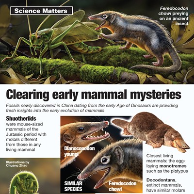Science Matters: Early mammals