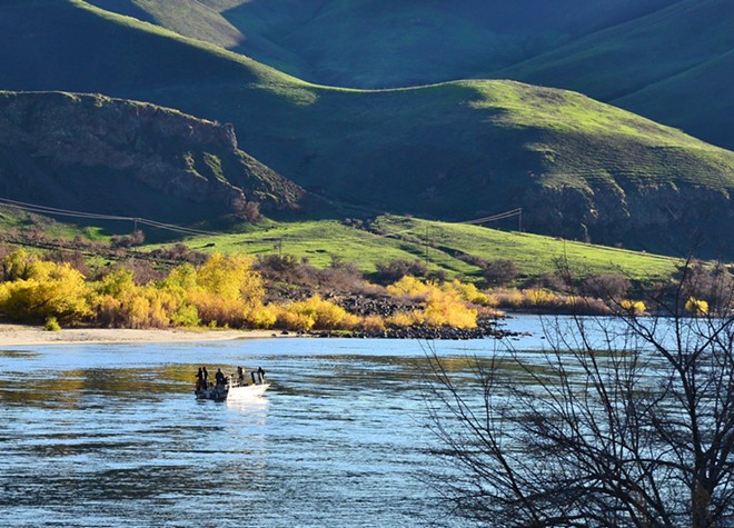 Snake River Beauty