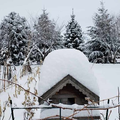 Snowy "cabin"