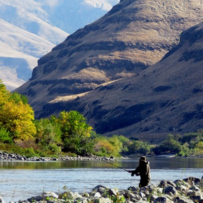 A steelhead fisherman casts his fly on a pleasant October day in the Snake River canyon below the Grand Ronde. Photo taken on Oct. 13 by Malcolm Furniss of Moscow.