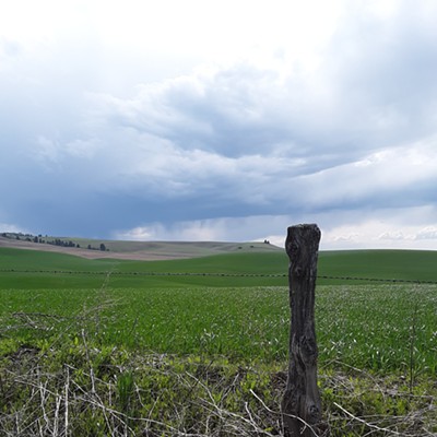 1) taken May 3 2020
    2) East of Moscow
    3) Scott Milner
    Near a field behind my house.