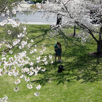 A student couple pauses under flowering trees on the WSU campus in Pullman, Sunday, April 24, 2022, where many seniors were out taking advantage of the weather for graduation pictures.  Keith Collins photo.