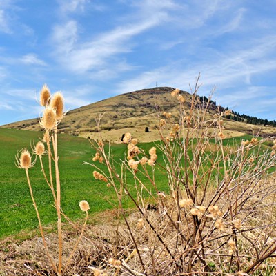 Steptoe Butte