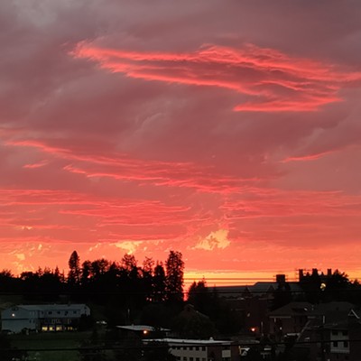 Taken from Sun porch of my apartment complex - perpetual sunrise and sunset watcher am I.😊