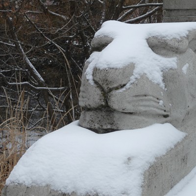 Will Hamlin of Pullman snapped this snowy cougar at the base of the Main Street overpass in Pullman in late December, 2015.