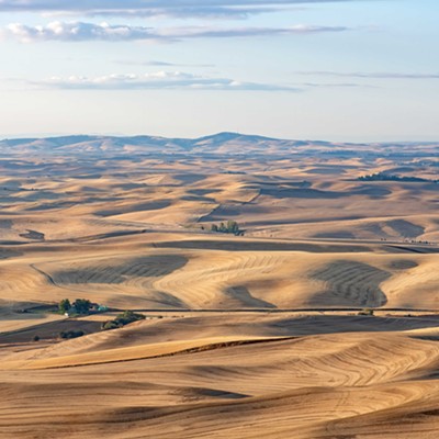 This image was captured on September 20, 2020, at 7:29 am from the ridge on Kamiak Butte. It was great to see after the smoke had cleared. I always love the early morning light and the shadows help to show the rolling hills of the Palouse. Dave Ostrom of Pullman submitted this photo.