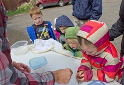 Yeastmode: Catch wild yeast -- and more -- at Outdoor Fun Day
