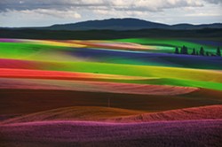 Mohr shades on the Palouse: Colfax via NYC artist paints with photography