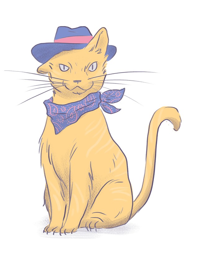 Ride &#146;em, kitty: Saddle up your cats for the big event