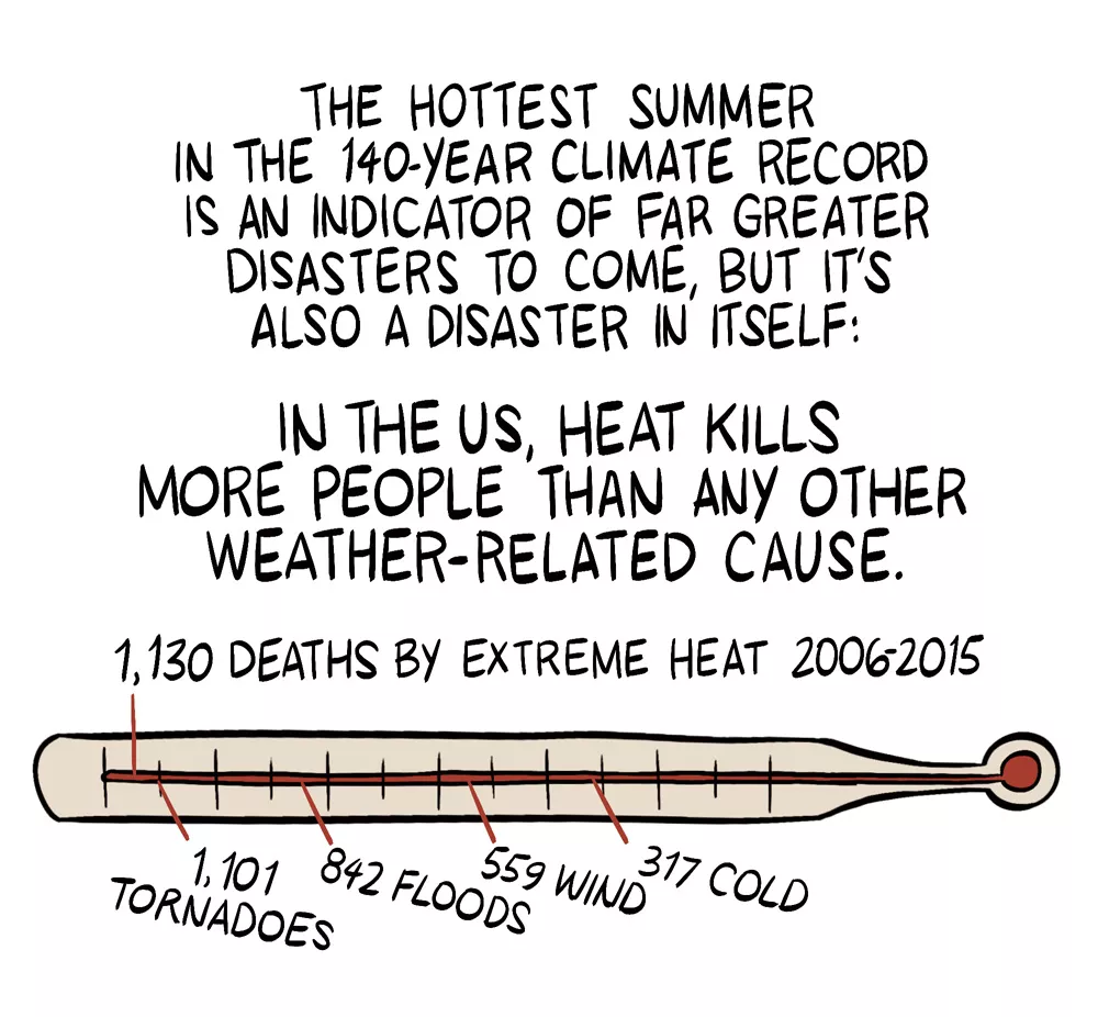 An illustrated guide to the hottest summer yet.