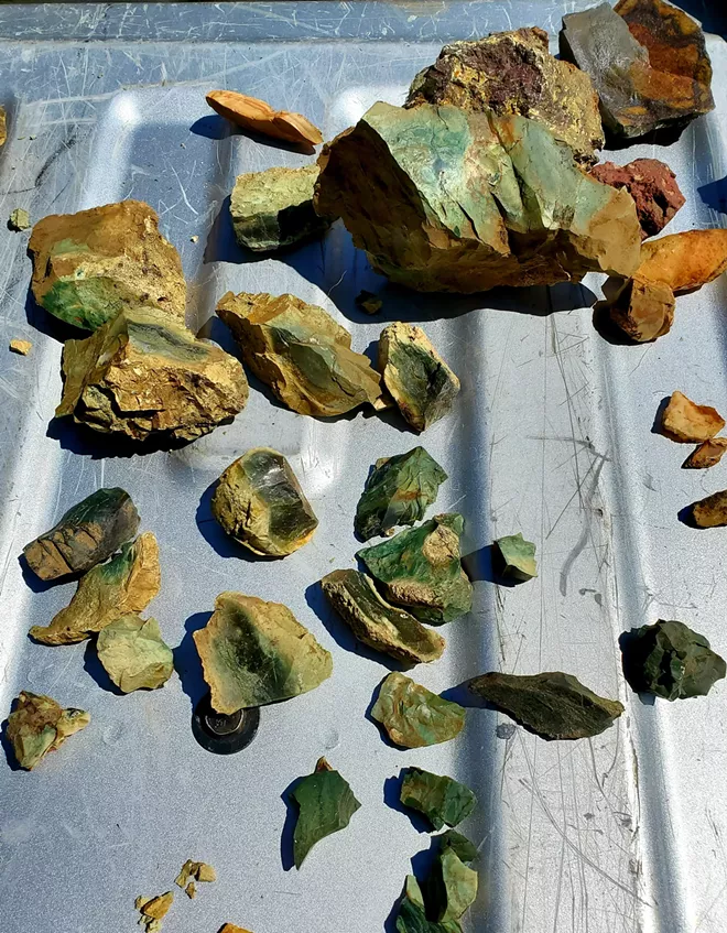 An assortment of green Snake River jasper was among the rocks found on last week's hike. - JENNIFER K. BAUER