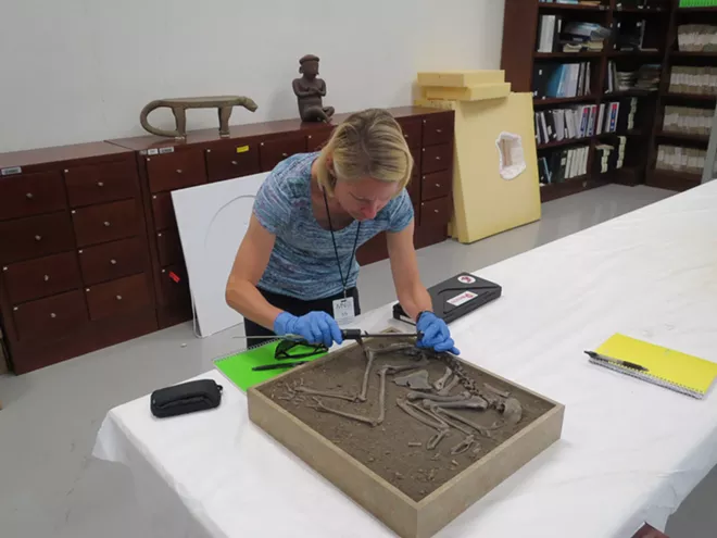 Erin Thornton, associated professor of anthropology at Washington State University, measures the skeleton of a ritually deposited archaeological turkey in a lab space at the National Museum of Anthropology (Museo Nacional de Antropología) in Mexico City, Mexico. The box contains the nearly complete skeleton of turkey that was sacrificed and buried as a ritual offering. - ERIN THORNTON