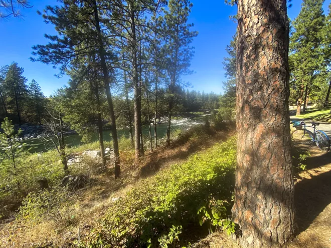 The Spokane River flows near the Centennial Trail in the Spokane County on a recent fall day. The gentle terrain of this section of the route lends itself to a wide variety of recreation like bicycling and walking. - ELAINE WILLIAMS/360