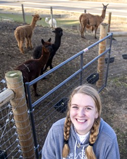 Mosman poses with her pet camelids in the Mosman family’s backyard pasture just off Fleshman Way in Clarkston. Mosman has five alpacas - Rosa, Dolly, Dixie, Tina and Sparkle - and a single llama, Princess Buttercup, or less formally, Butter. The plan eventually is to collect fiber from the animals during shearing season and process it into yarn - which Mosman can then use in her fiber creations. - CAITLIN BEESLEY/TRIBUNE
