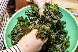 Winn massages the kale as she prepares a kale salad on Monday. - AUGUST FRANK/INLAND 360