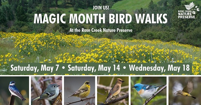 magic_month_bird_walks.jpg