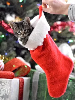 ’Tisn’t the season