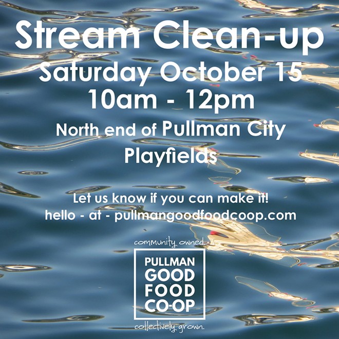 Stream Cleanup with the Pullman Good Food Co-op